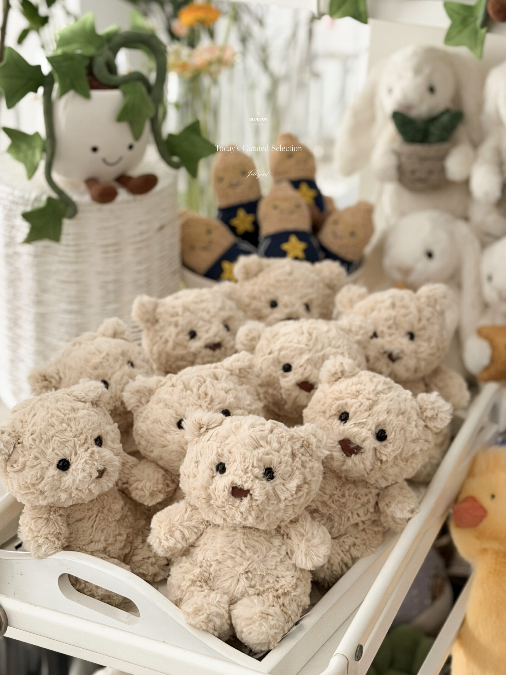 Jellycat|小熊崽巴熊:圖片 2
